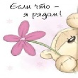 Аватара пользователя